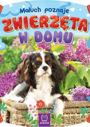 Maluch poznaje Zwierzęta w domu