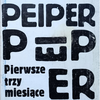 Pierwsze trzy miesiące