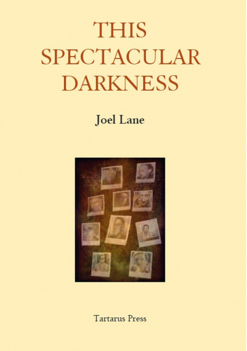 This Spectacular Darkness: Critical Essays