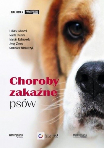 Choroby zakaźne psów