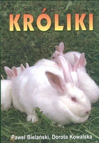 Króliki