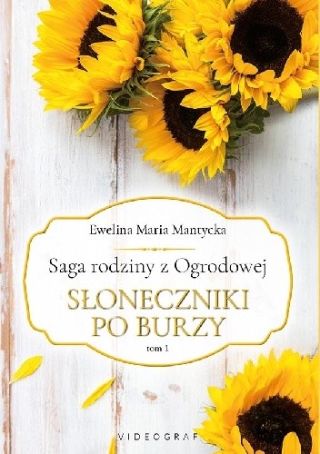 Słoneczniki po burzy
