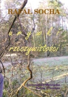 Urywki rzeczywistości