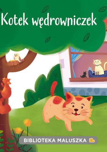 Kotek wędrowniczek