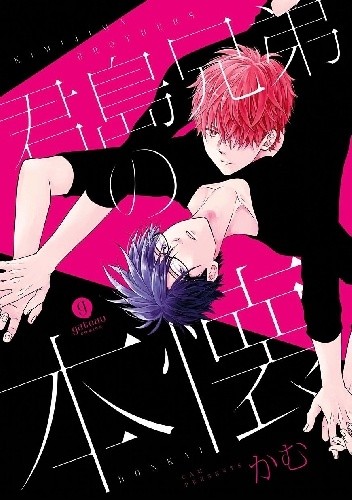 Kimijima Kyoudai no Honkai