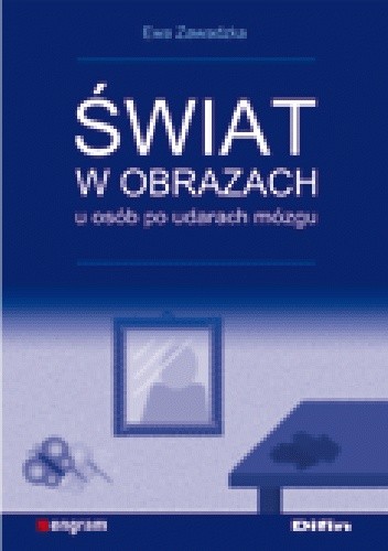 Świat w obrazach u osób po udarach mózgu
