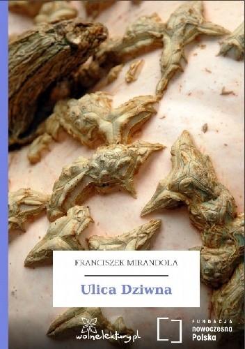 Ulica Dziwna