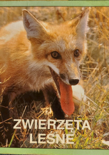 Zwierzęta leśne