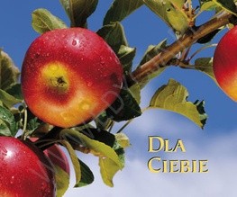 Dla Ciebie