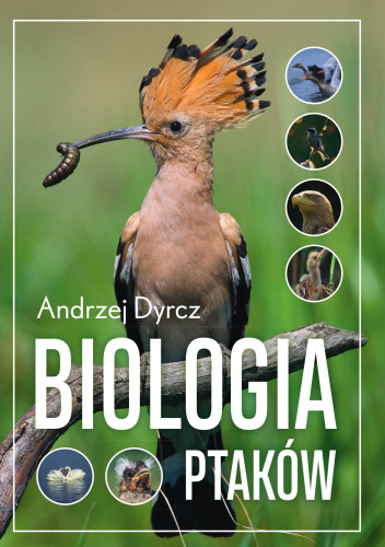 Biologia ptaków