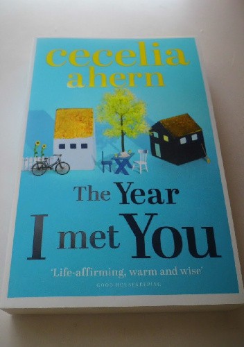 The Year I Met You