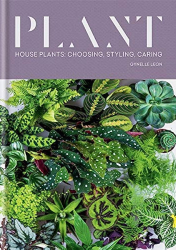 Plant: House plants: choosing, styling, caring
