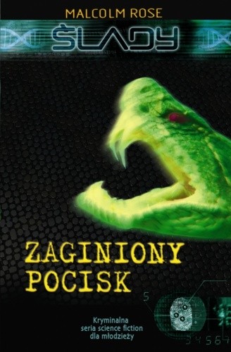 Ślady. Zaginiony pocisk