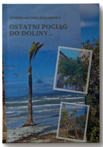 Ostatni pociąg do doliny...