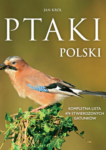 Ptaki Polski