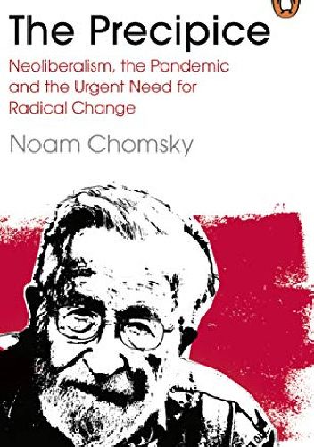 The Precipice: Neoliberalism, the Pandemic and the Urgent Need for Social Change