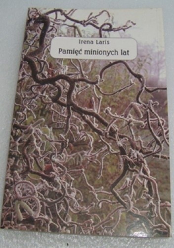 Pamięć minionych lat