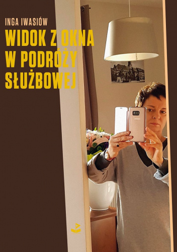 Widok z okna w podróży służbowej