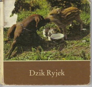 Dzik Ryjek