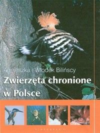 Zwierzęta chronione w Polsce