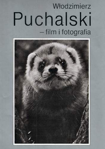 Film i fotografia