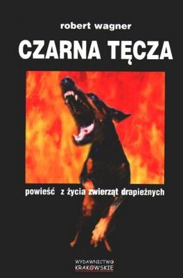 Czarna tęcza
