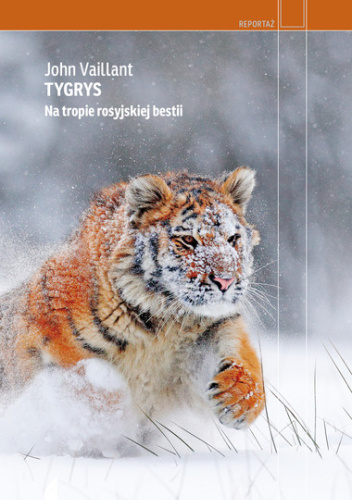 Tygrys. Na tropie rosyjskiej bestii