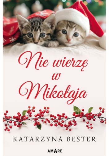 Nie wierzę w Mikołaja