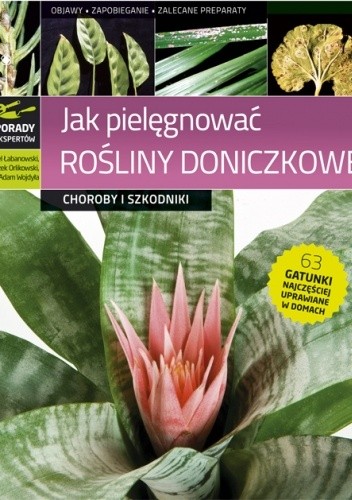Jak pielęgnować rośliny doniczkowe. Choroby i szkodniki