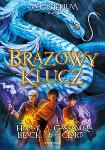 Brązowy klucz