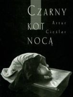 Czarny kot nocą