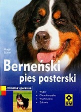 Berneński pies pasterski