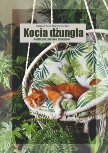 Kocia dżungla. Rośliny bezpieczne dla kotów