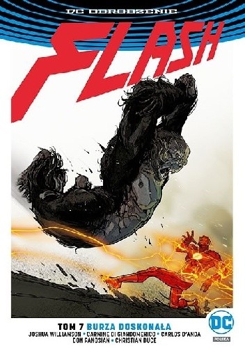 Flash: Burza doskonała