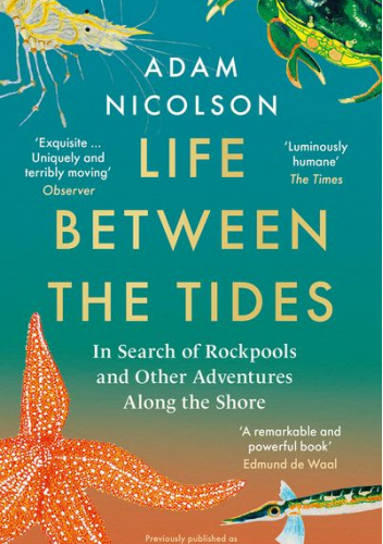 Life Between the Tides: In Search of Rockpools and Other Adventures Along the Shore