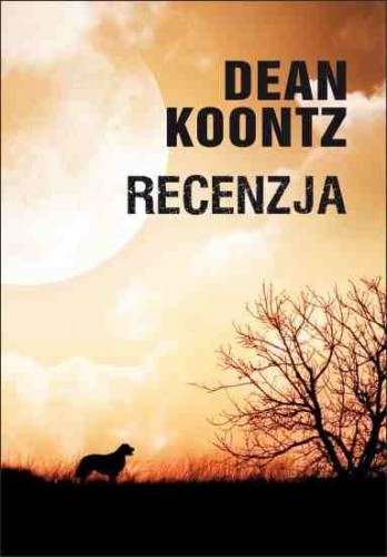 Recenzja