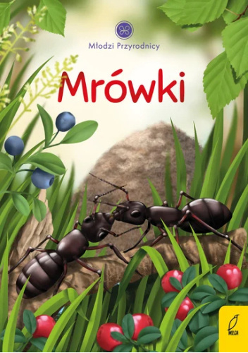 Młodzi Przyrodnicy. Mrówki