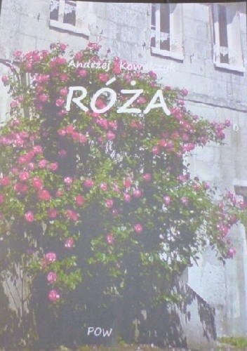 Róża