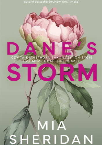 Dane's Storm