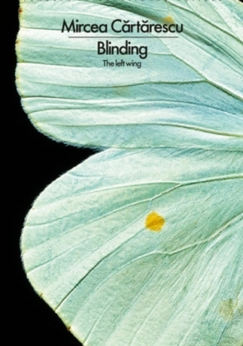 Blinding: The Left Wing