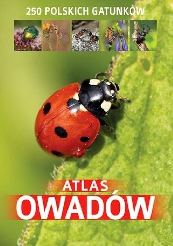 Atlas owadów. 250 polskich gatunków