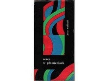 Serce w płomieniach. Opowieść o Karolu Szymanowskim