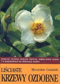 Liściaste krzewy ozdobne cz. II