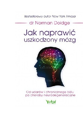 Jak naprawić uszkodzony mózg. Od udarów i chronicznego bólu po choroby neurodegeneracyjne