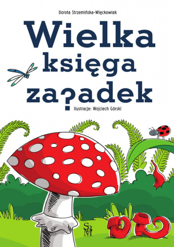 Wielka księga zagadek