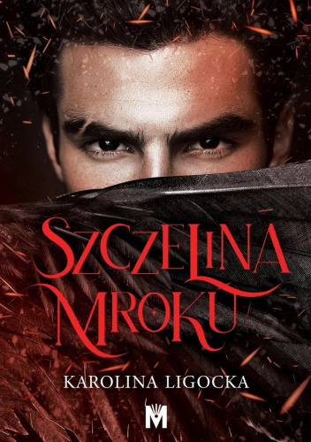 Szczelina mroku