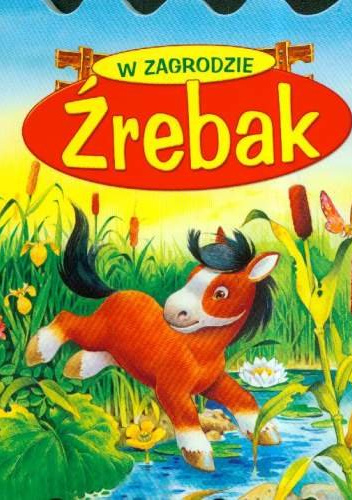 W zagrodzie. Źrebak