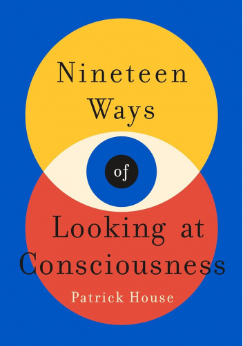 Nineteen Ways of Looking at Consciousness