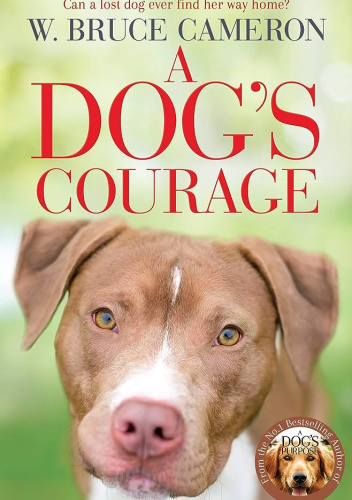 A Dog's Courage