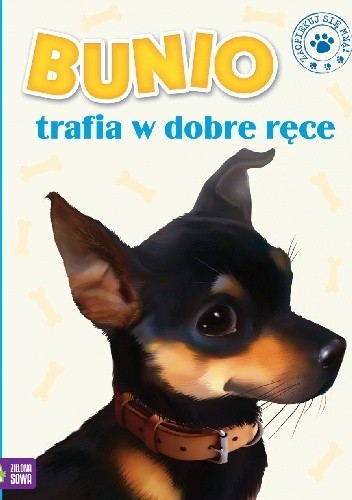 Bunio trafia w dobre ręce